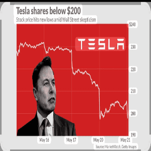 Tesla Stock Slightly Better then other Trade Company in 2025